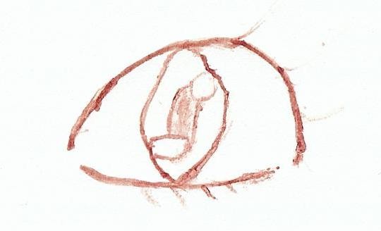 oko